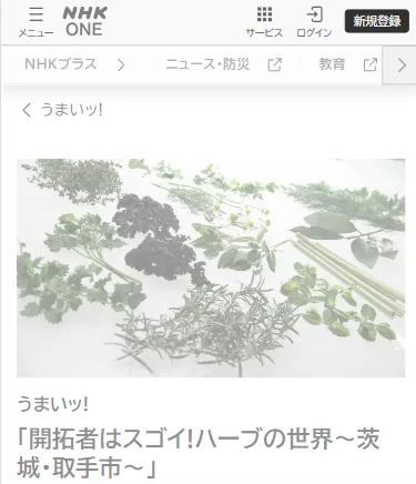 NHKうまいっッ！に出演【開拓者はスゴイ！ハーブの世界～茨城・取手市～】