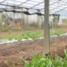 代表あいさつ