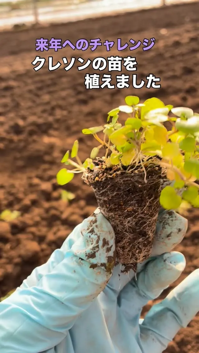 2025年もあと少し。