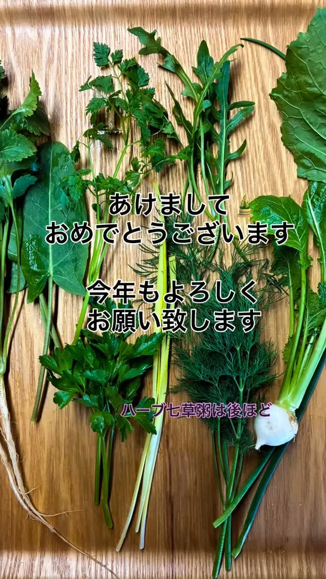 あけましておめでとう御座います。