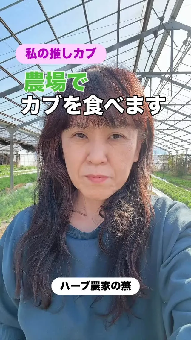 農場でカブを食べます！