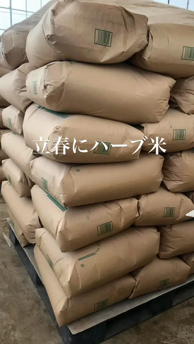 ハーブ米で何作る？炊き込みご飯？米粉スイーツ？そのまま？その...