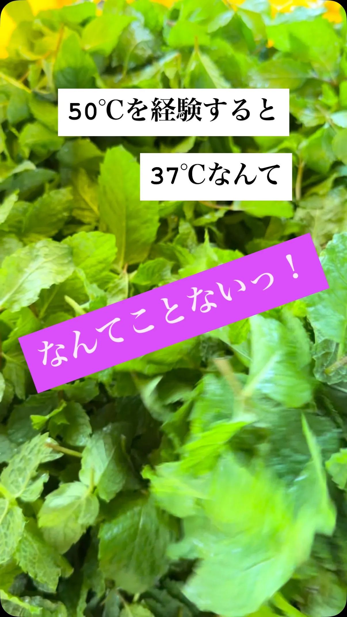 今日は涼しいな〜！