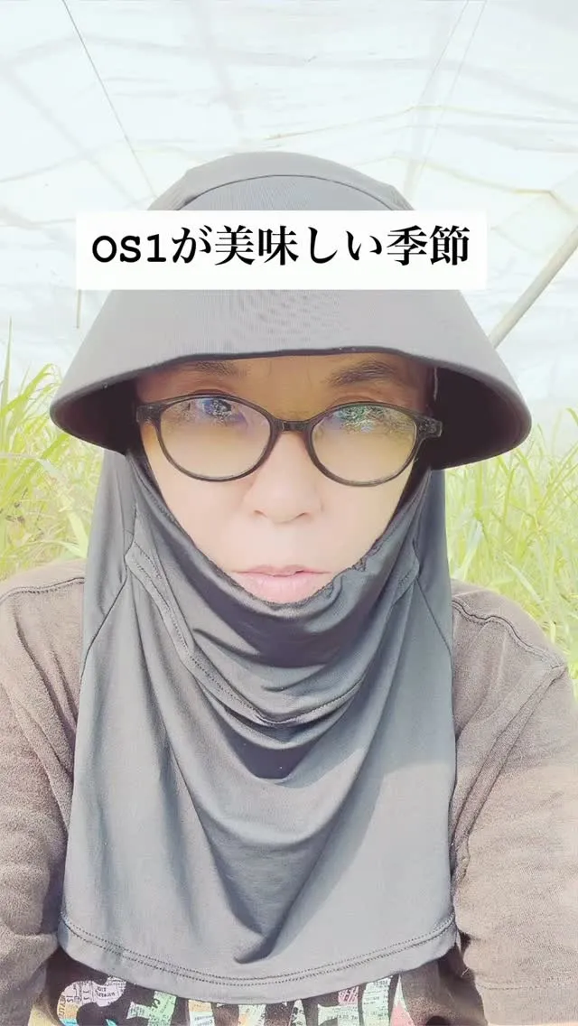暑くて顔がおばけですね。