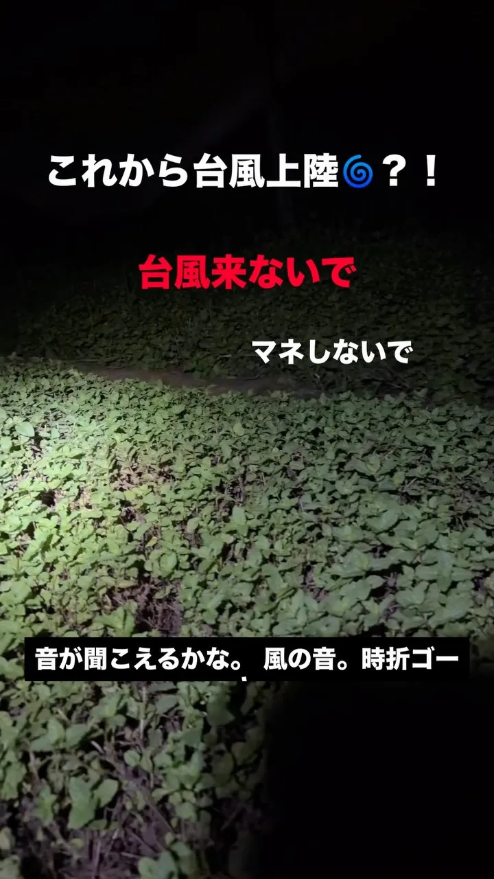 これから茨城に台風が上陸する？なんて信じられない！