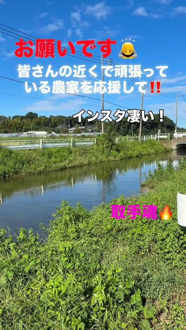 今日は、朝早くから、Instagramを見たという方々、取手...