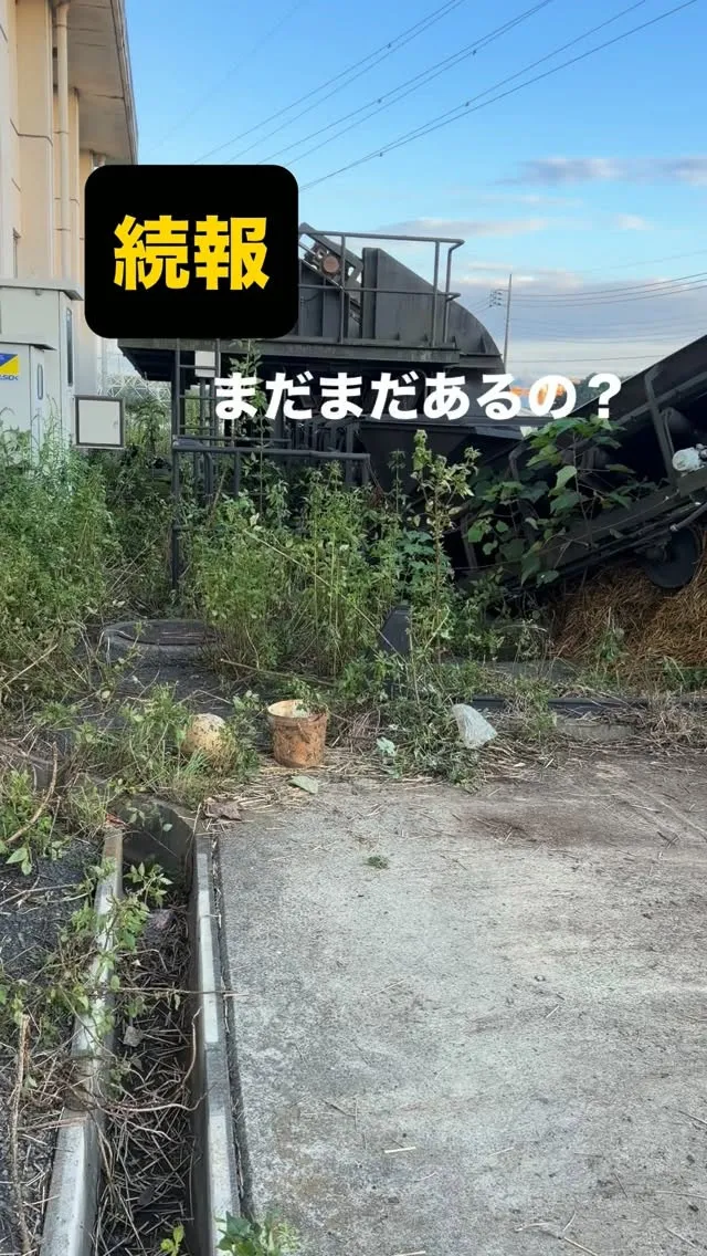 まだ終わってなかった、