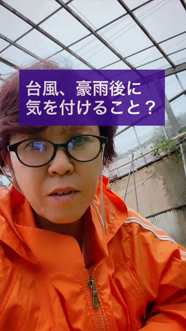 台風、来ないでほしいですね。