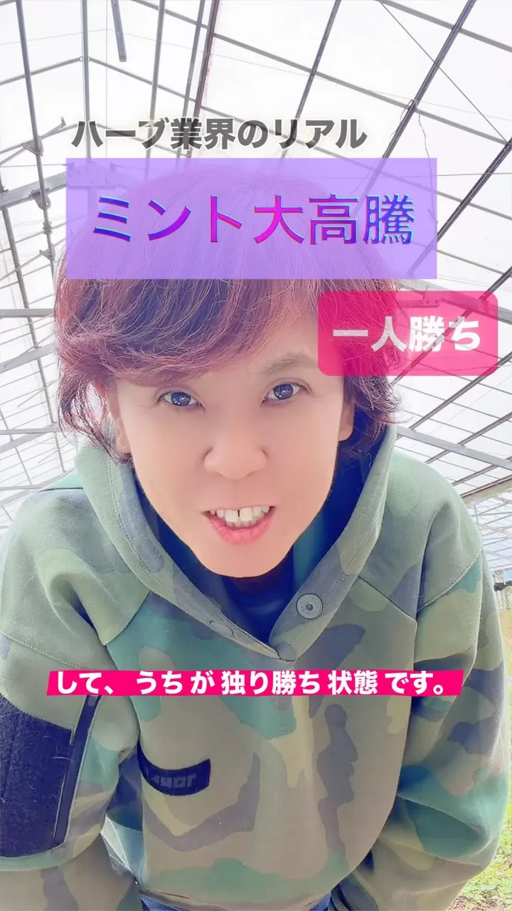 まさかのミント大高騰。