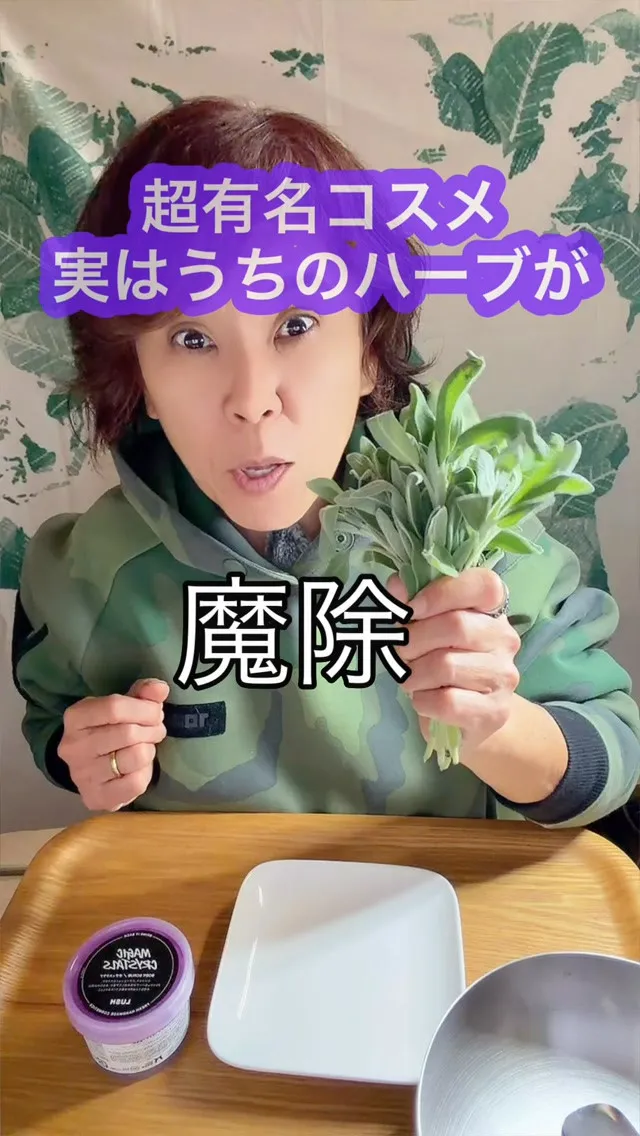 実は…シモタファームで育てているセージが、あの世界的に有名な...